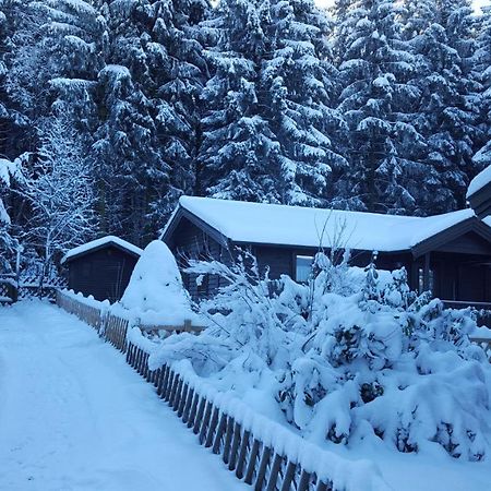 Waldsee-Ferienhaus-Mit-Kamin-W-Lan 클라우슈탈젤러펠트 외부 사진