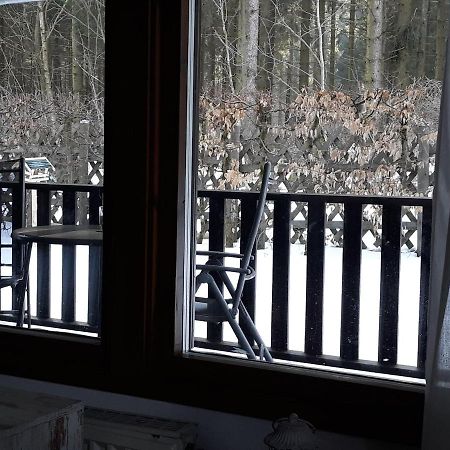 Waldsee-Ferienhaus-Mit-Kamin-W-Lan 클라우슈탈젤러펠트 외부 사진