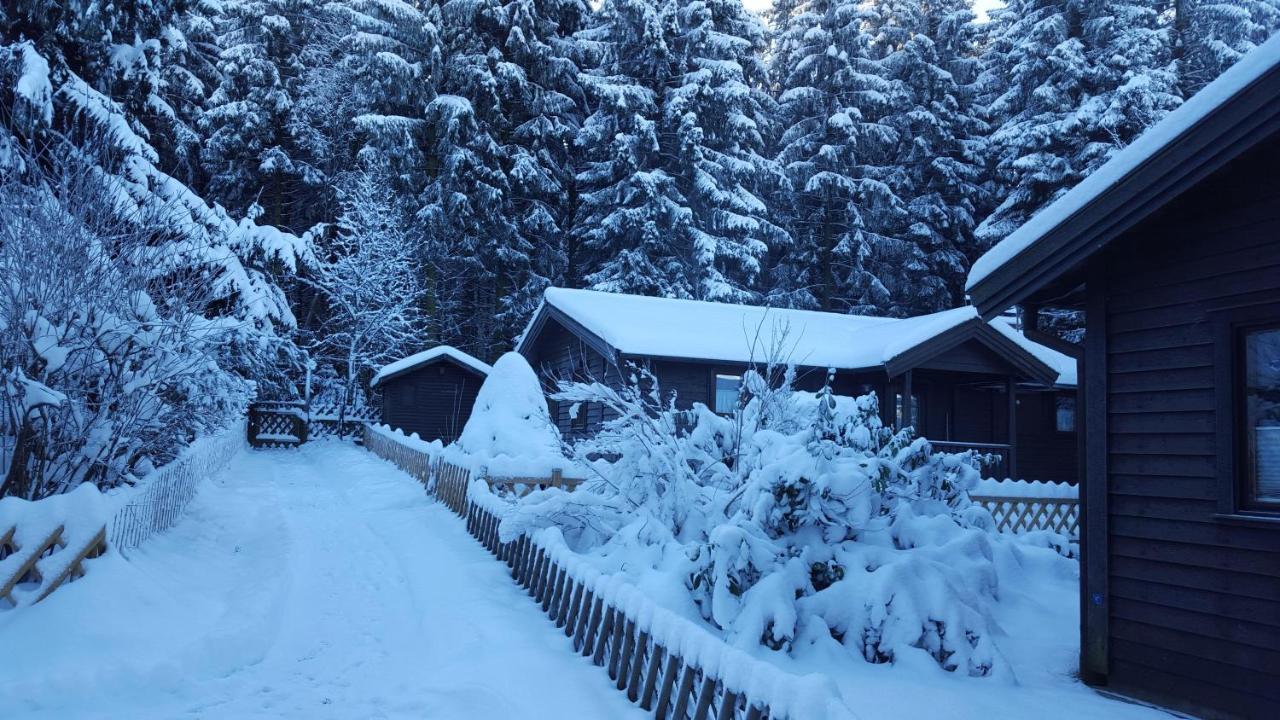 Waldsee-Ferienhaus-Mit-Kamin-W-Lan 클라우슈탈젤러펠트 외부 사진