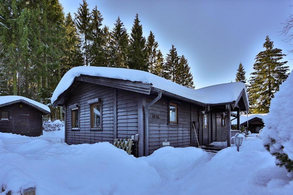 Waldsee-Ferienhaus-Mit-Kamin-W-Lan 클라우슈탈젤러펠트 외부 사진