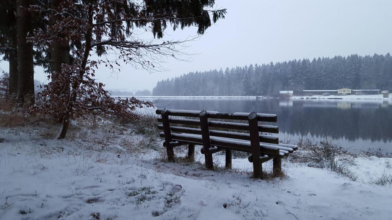 Waldsee-Ferienhaus-Mit-Kamin-W-Lan 클라우슈탈젤러펠트 외부 사진