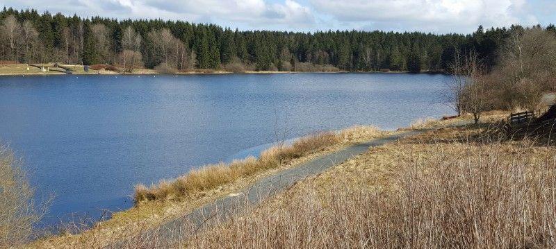 Waldsee-Ferienhaus-Mit-Kamin-W-Lan 클라우슈탈젤러펠트 외부 사진