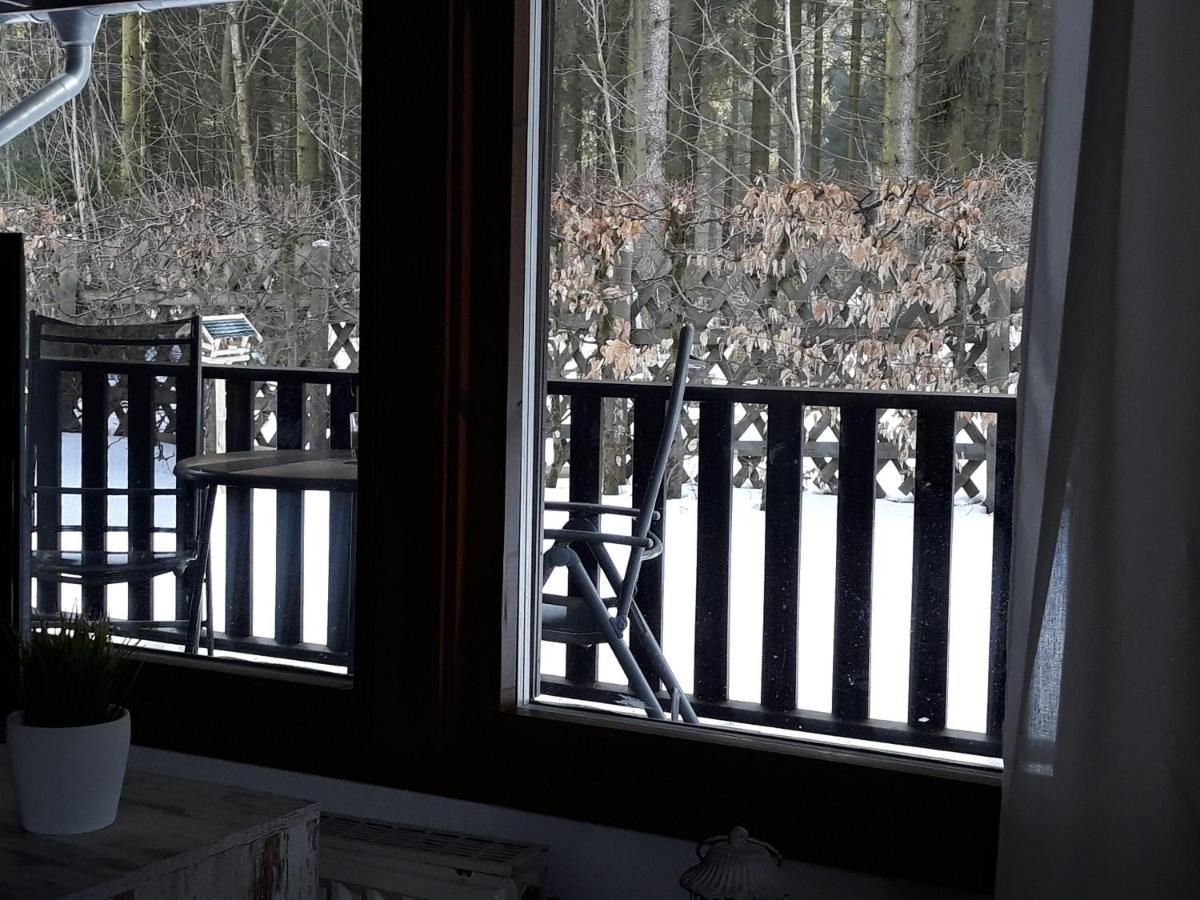 Waldsee-Ferienhaus-Mit-Kamin-W-Lan 클라우슈탈젤러펠트 외부 사진
